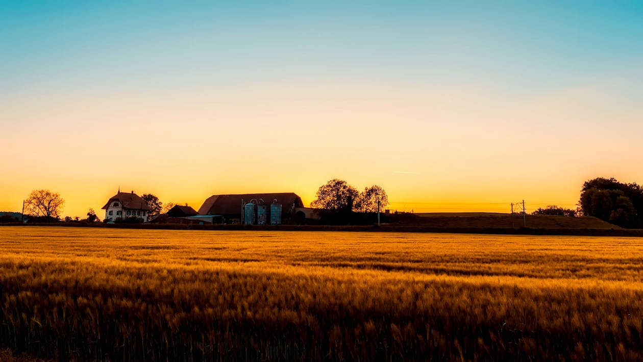 The Best Counties to Buy Land in Oklahoma
